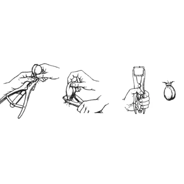 Gumelės kastravimui (100vnt.) 38102202100 1