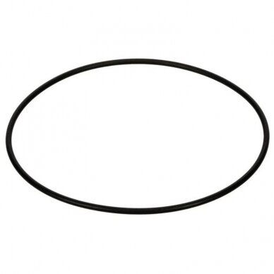 Guminis žiedas 118x3