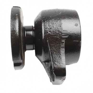 Guoliavietė 100 ESS-548 1