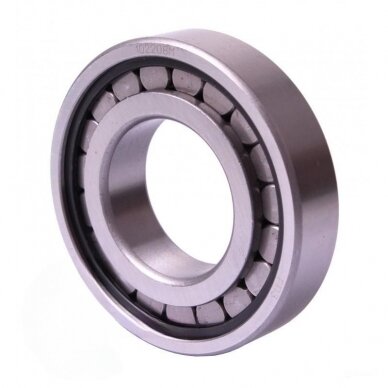 Guolis 102208 GPZ