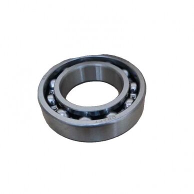Guolis 107 6007 ZZ 180107 CR Guolis 107 6007 ZZ 180107 CR