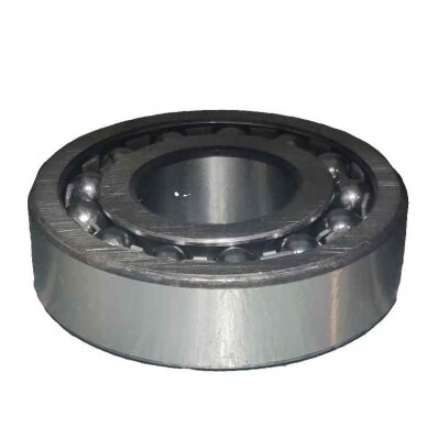 Guolis 1306 SNR Guolis 1306 SNR