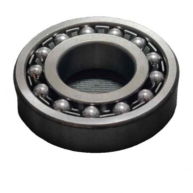 Guolis 1310 CR