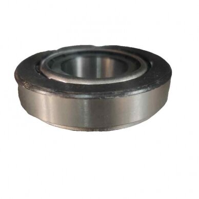 Guolis 27307 balkinio tilto.RUS