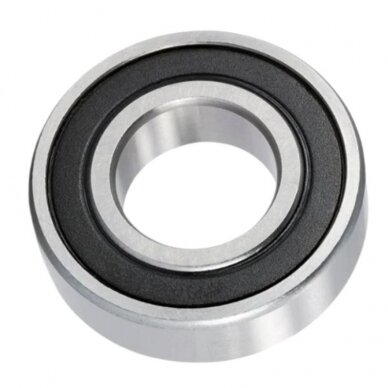 Guolis 6002.2RS NSK