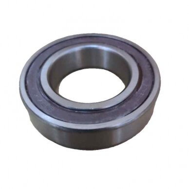 Guolis 6007 2RS 180107CR