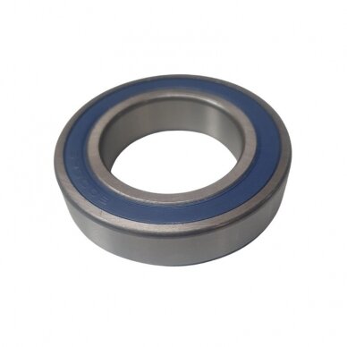 Guolis 6008.2RS (180108) ZVL Guolis 6008.2RS (180108) ZVL