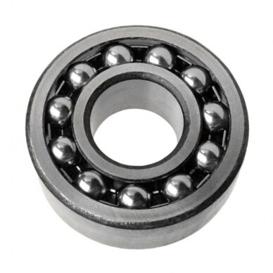Guolis 6013.2RS VBF