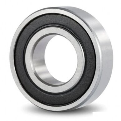 Guolis 6020.2RS NSK Guolis 6020.2RS NSK