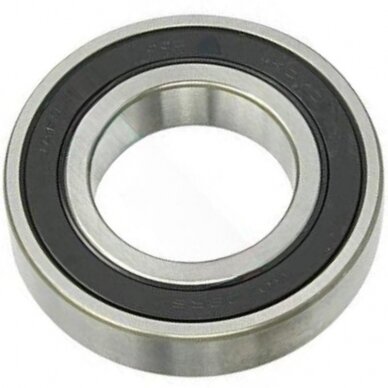 Guolis 6204.2RS ZKL