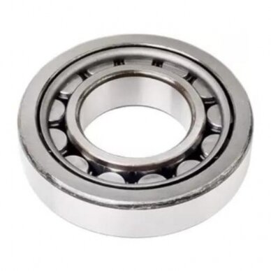 Guolis NJ 310/42310 CR Guolis NJ 310/42310 CR