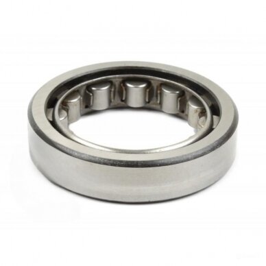Guolis RNU213/292213 K1M GPZ