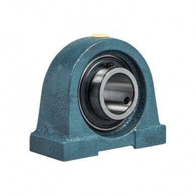 Guolis su korpusu UCPA205 LEV 205 2F