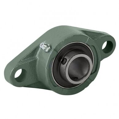 Guolis UCFL 203 CRAFT su korpusu