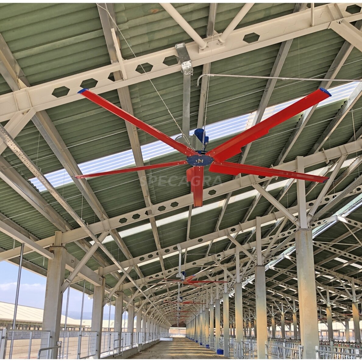 Helikopterinis ventiliatorius Ø 2,5m KF02074 1