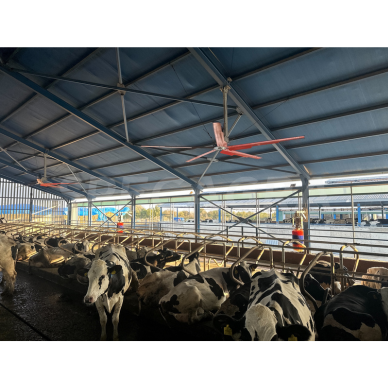 Helikopterinis ventiliatorius Ø 2,5m KF02074 2