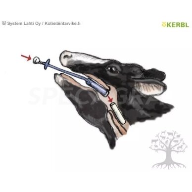 Įrenginys vaistams nerūdijančio plieno 70cm 2139 4 Įrenginys vaistams nerūdijančio plieno 70cm 2139 4