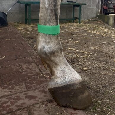 Juostelė identifikacinė 317102;317103;317104;317105; 4 Juostelė identifikacinė 317102;317103;317104;317105; 4