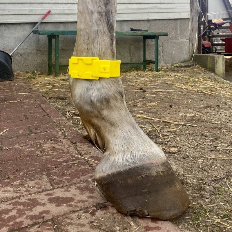 Juostelė identifikacinė 317202 geltona Juostelė identifikacinė 317202 geltona