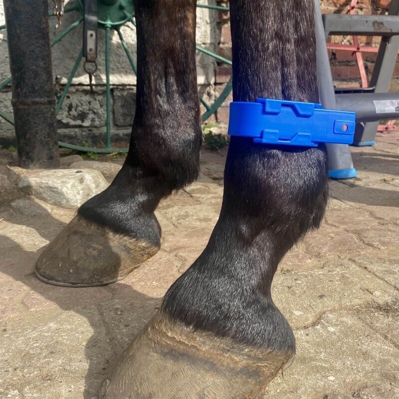 Juostelė identifikacinė 317204 mėlyna