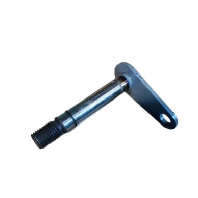 Kaištis 1863/31-300/0 Kaištis 1863/31-300/0