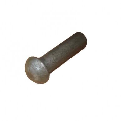 Kniedė 5x20 DIN660