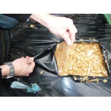 Kombinuota plėvelė 14m x 400m 0,100mkr 3