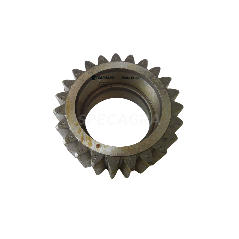 Krumpliaratis 148396 R212854