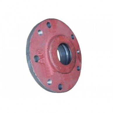 Lizdas T-25 7.37.104-1 Lizdas T-25 7.37.104-1