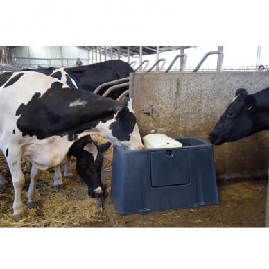 Lovys dvigubas Polyclean su kait.el. 2x80W P1130527 8