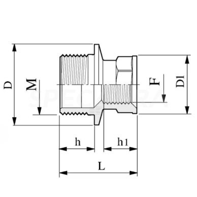 Mova 2452075 1