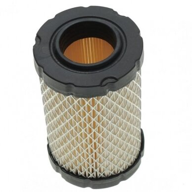 Oro filtras 594201