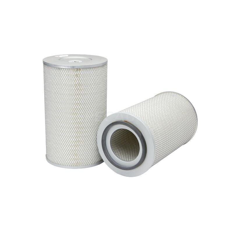 Oro filtro elementas AF25065