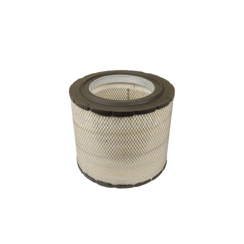 Oro filtro elementas AF25700