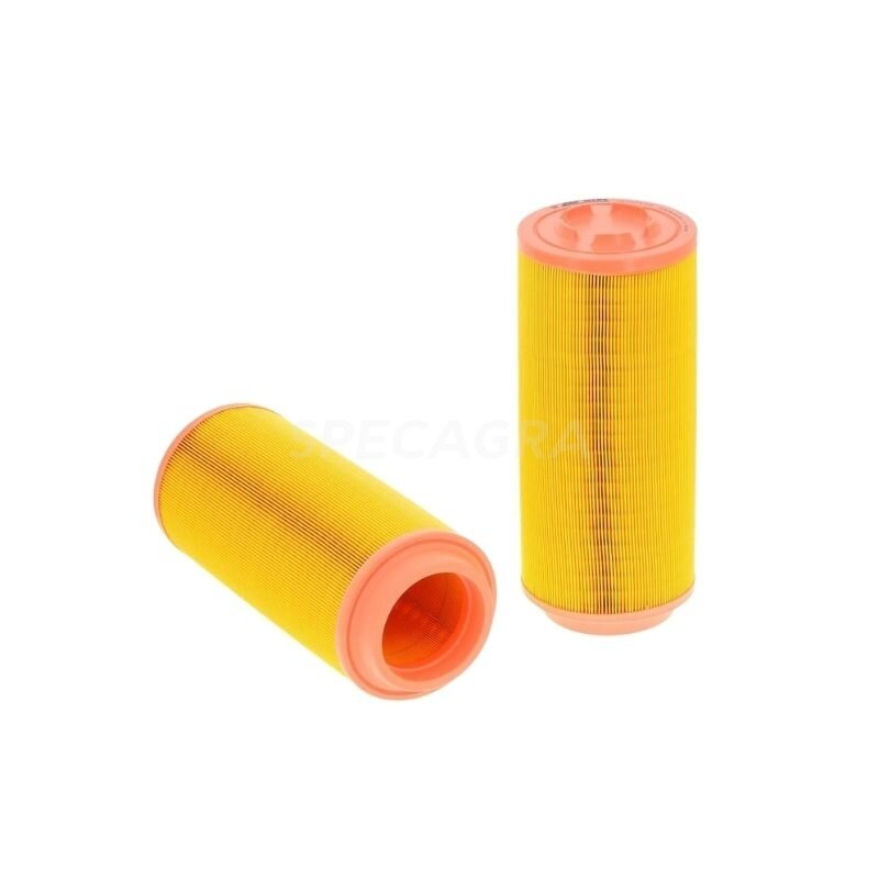 Oro filtro elementas AF26393