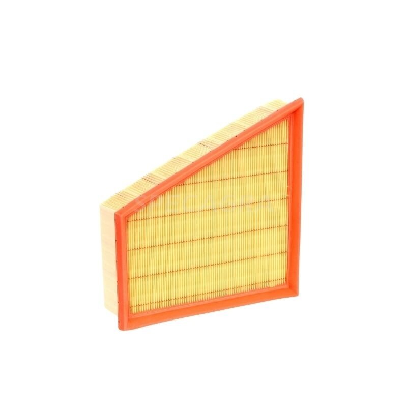 Oro filtro elementas C2295/2