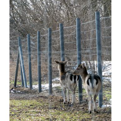 Perdirbto plastiko kuolai su metaline šerdimi 80mm/200cm 3000193 3 Perdirbto plastiko kuolai su metaline šerdimi 80mm/200cm 3000193 3