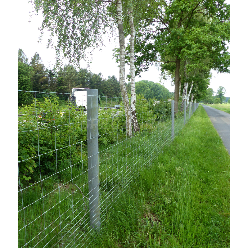 Perdirbto plastiko kuolai su metaline šerdimi 80mm/200cm 3000193 1