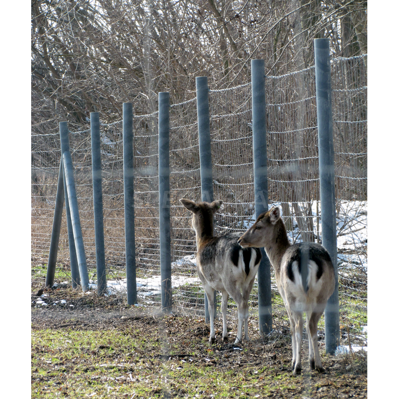 Perdirbto plastiko kuolai su metaline šerdimi 80mm/200cm 3000193 3 Perdirbto plastiko kuolai su metaline šerdimi 80mm/200cm 3000193 3