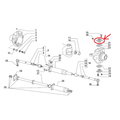 Pirštas viršutinis 125149 81863173 2 Pirštas viršutinis 125149 81863173 2