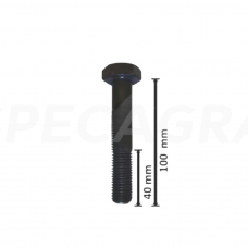 Plaktuko varžtas M16x1,5x100-10,9 63-16100