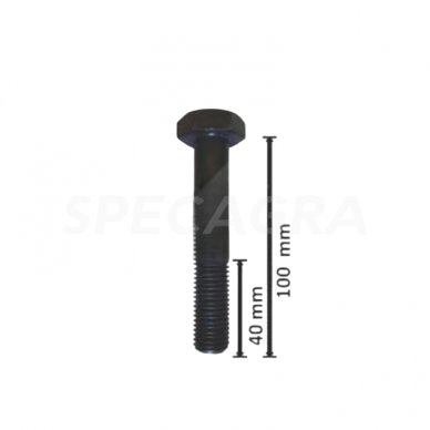 Plaktuko varžtas M16x1,5x100-10,9 63-16100 1