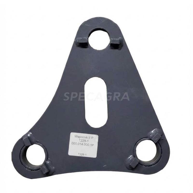 Plokštė T229-1 000.014.000.1P 1