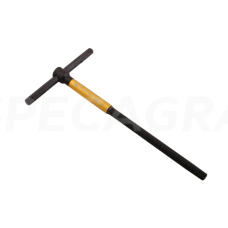 Raktas T TORX T60 su suktuku