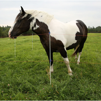 Rifliuotas stik.pluošt.kuolelis 1.5m smailint. 3 Rifliuotas stik.pluošt.kuolelis 1.5m smailint. 3