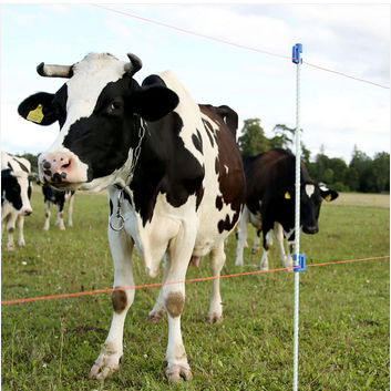 Rifliuotas stik.pluošt.kuolelis 1.5m smailint. 2 Rifliuotas stik.pluošt.kuolelis 1.5m smailint. 2