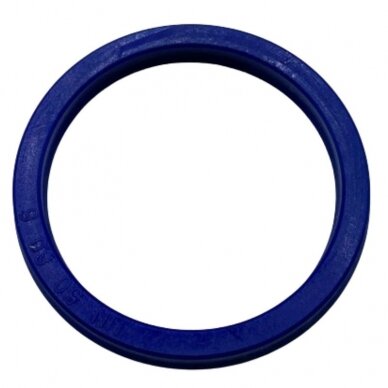 Riebokšlis UN 50X60X6