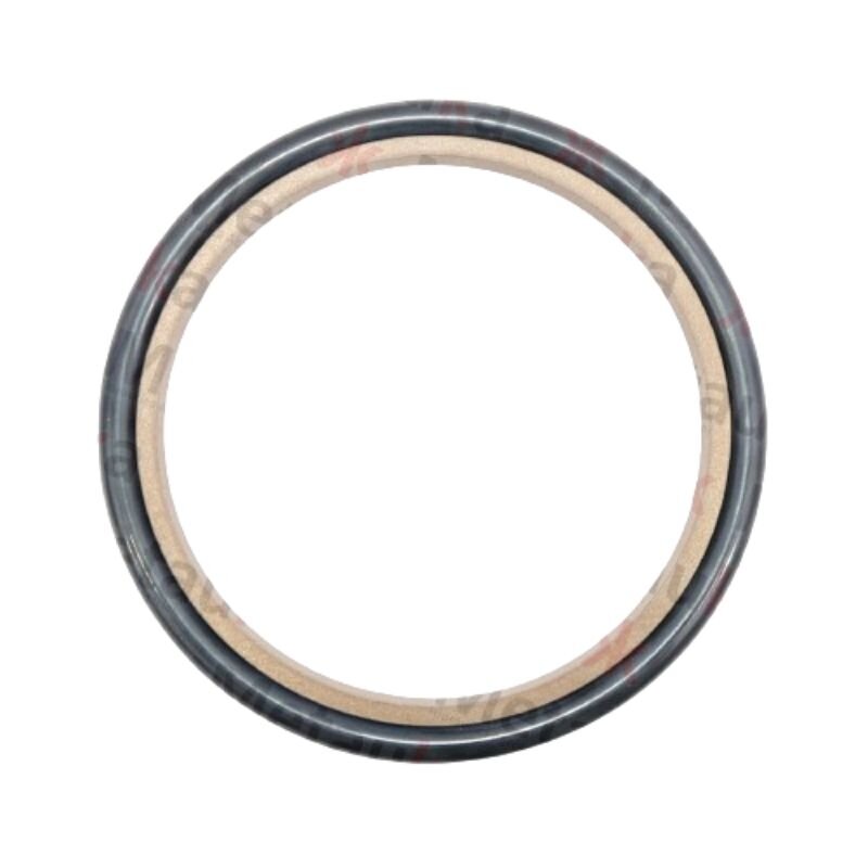 Riebokšlis GIR 045x60,1x6,3 Riebokšlis GIR 045x60,1x6,3
