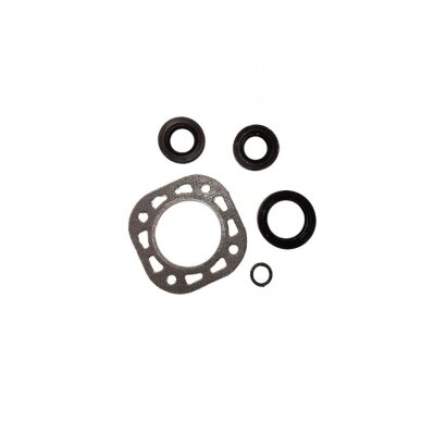 RMK 1003 PD-10 variklio RMK 1003 PD-10 variklio