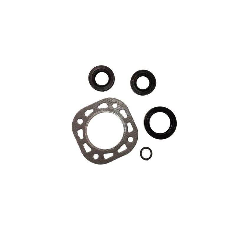 RMK 1003 PD-10 variklio